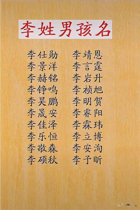 李名字男|李姓男孩名字大全